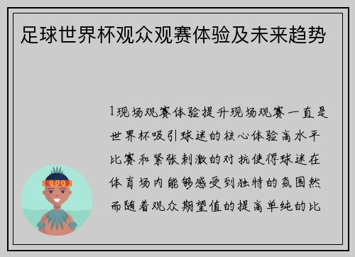 足球世界杯观众观赛体验及未来趋势