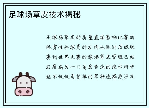 足球场草皮技术揭秘