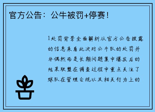 官方公告：公牛被罚+停赛！